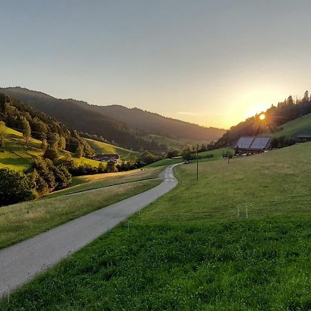埃尔察赫Irgendwo Im Schwarzwald公寓 外观 照片